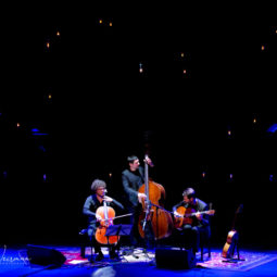 Loco Cello